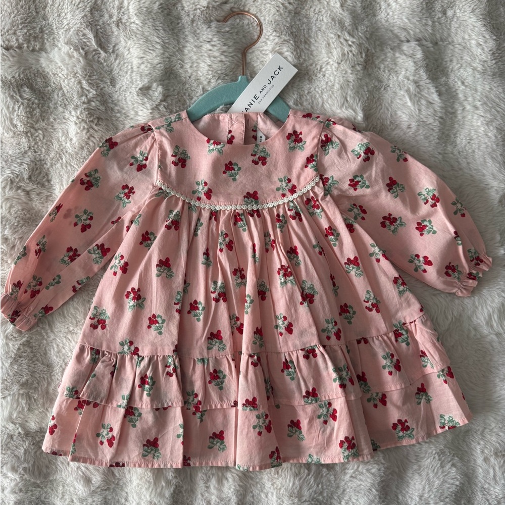 Janie and Jack Pink Strawberry Baby Dress